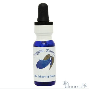 99 �n�[�g�̂Ȃ��̃n�[�g �A���W�F���b�N�G�b�Z���X ���ׂẴn�[�g-�͂��肵��Ȃ��قǂ̈��L�b�g The Heart of Hearts