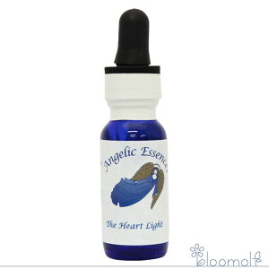 98 �n�[�g�̌� �A���W�F���b�N�G�b�Z���X ���ׂẴn�[�g-�͂��肵��Ȃ��قǂ̈��L�b�g Heart Light