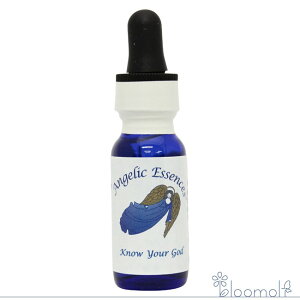 121 mEEAESbh Ȃg̐_m AWFbNGbZX fBBjeBLbg Know your God