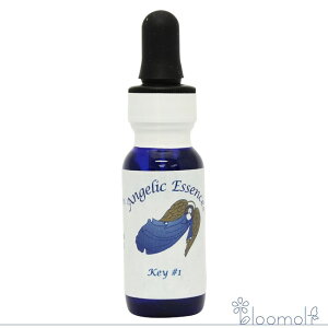 117 L[#1 AWFbNGbZX L[Lbg Key#1