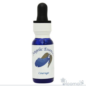 50 �J���b�W �A���W�F���b�N�G�b�Z���X �q�[���[�Y�L�b�g Courage