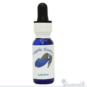 123 NV~ AWFbNGbZX Ao_XEvXyeBE}jtFXe[VLbg Lakshmi