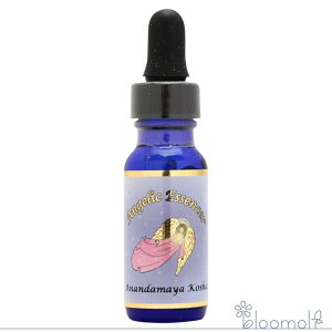 214 �A�i���_�}���E�R�[�V�� �A���W�F���b�N�G�b�Z���X �R�[�V���L�b�g Anandamaya Kosha