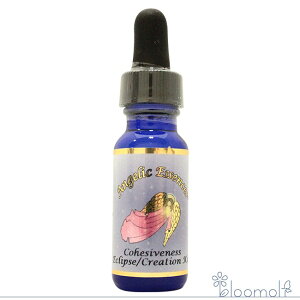 229 �R�q�[�V�u�l�X ���� �A���W�F���b�N�G�b�Z���X �G�N���v�X�G�b�Z���X �R�Y�~�b�N�N���G�C�V���� Cohesiveness