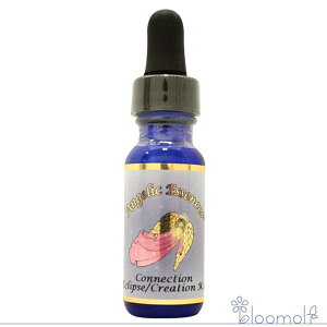 230 RlNV Ȃ AWFbNGbZX GNvXGbZX RY~bNNGCV Connection