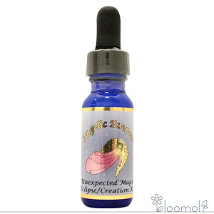 233 AGNXyNebh}WbN \ʖ@ AWFbNGbZX GNvXGbZX RY~bNNGCV