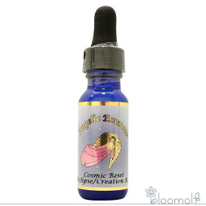 235 �R�Y�~�b�N���L�b�g �F���̃��L�b�g �A���W�F���b�N�G�b�Z���X �G�N���v�X�G�b�Z���X �R�Y�~�b�N�N���G�C�V���� Cosmic Reset