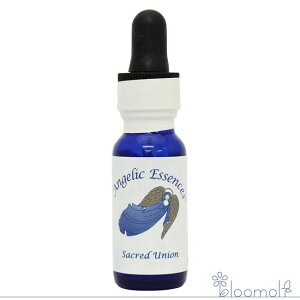 172 �Z�C�N���b�h���j�I�� ���Ȃ�A�� �A���W�F���b�N�G�b�Z���X �}�X�^�[�̃G�b�Z���X Sacred Union