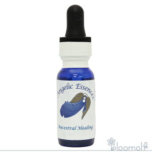 7 �A���Z�X�g�����E�q�[�����O �A���W�F���b�N�G�b�Z���X Ancestral Healings