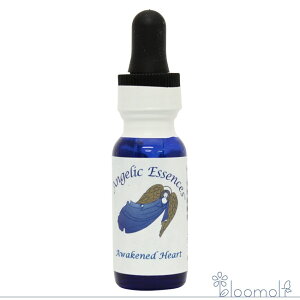 19 �A�E�F�C�N���h�E�n�[�g �A���W�F���b�N�G�b�Z���X �A���W�F���b�N�G�b�Z���X Awakened Heart