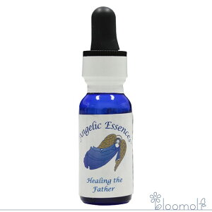 92 �q�[�����O�E�U�E�t�@�U�[ �A���W�F���b�N�G�b�Z���X Healing the Father