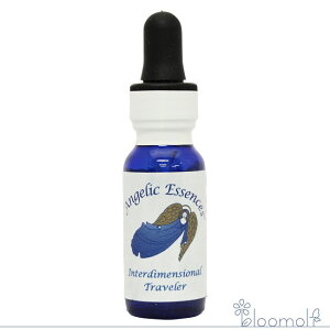 112 �C���^�[�f�B�����V���i���E�g���x���[ �A���W�F���b�N�G�b�Z���X �A���W�F���b�N�G�b�Z���X Interdimensional Traveler