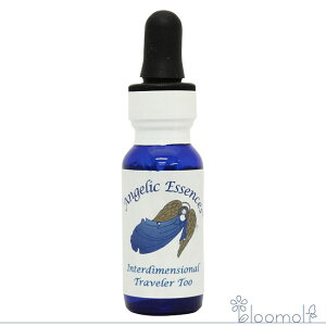 113 �C���^�[�f�B�����V���i���E�g���x���[�E�g�D�[�E�C���^�[�f�B�����V���i���E�G�}�[�W�F���V�[ �A���W�F���b�N�G�b�Z���X �A���W�F���b�N�G�b�Z���X