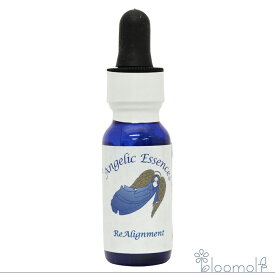 #161 リアライメント アンジェリックエッセンス アンジェリックエッセンス Re Alignment