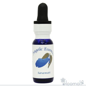 174 ZA[X[eB[ AWFbNGbZX AWFbNGbZX Saraswati