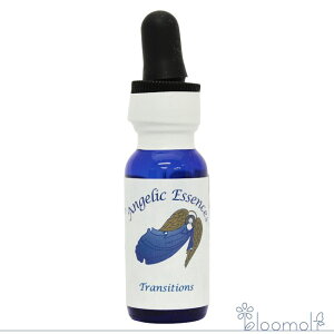 198 gWV AWFbNGbZX AWFbNGbZX Transitions