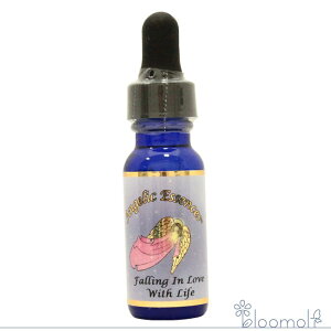 217 tH[ C u EBY Ct lɗ AWFbNGbZX AWFbNGbZX