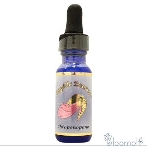 219 zEI|m|m AWFbNGbZX Ho'oponopono