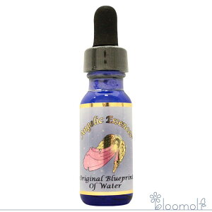 220 IWiu[vgIuEH[^[ ̐ʐ^ AWFbNGbZX AWFbNGbZX