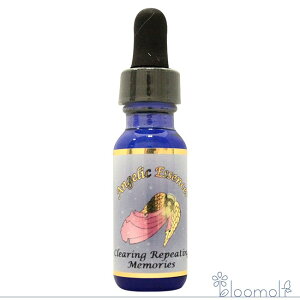 237 �N���A�����O���s�[�e�B���O�������[ �A���W�F���b�N�G�b�Z���X Clearing Repeating Memories