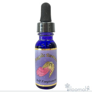 244 �Z���t�t�H�[�M�u�l�X �A���W�F���b�N�G�b�Z���X Self Forgiveness