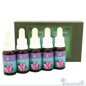 t[GbZX A^} CYE[}vO R~jeB̃PA{bNX {bNX3