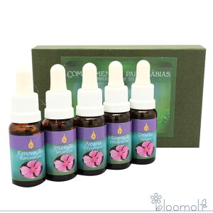 t[GbZX A^} CYE[}vO ⑫{bNX