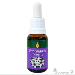 _Co[VeB[ A^} G}[WFXLbg