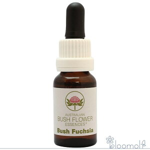 ubVt[V I[XgAubV VOGbZX t[GbZX