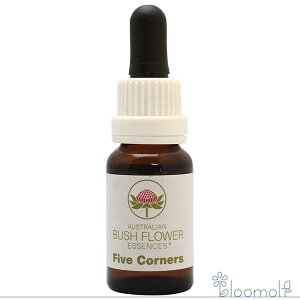 t@CuR[i[Y I[XgAubV VOGbZX t[GbZX