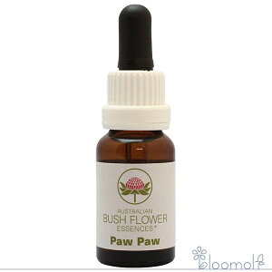 |[|[ I[XgAubV VOGbZX t[GbZX