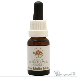 sN I[XgAubV VOGbZX t[GbZX