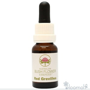 bhOBA I[XgAubV VOGbZX t[GbZX