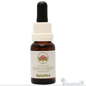 XsjtFbNX I[XgAubV VOGbZX t[GbZX