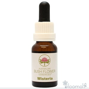 t[GbZX I[XgAubV VOGbZX EBXeA