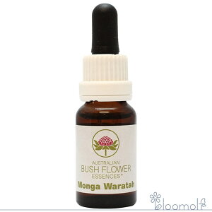 K^ I[XgAubV VOGbZX t[GbZX