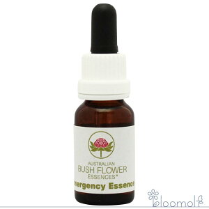 G}[WFV[ XgbN{g I[XgAubV t[GbZX