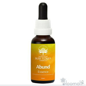 Aoh L I[XgAubV Rrl[V t[GbZX