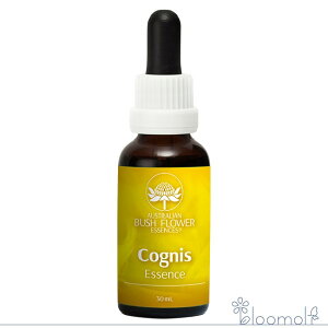 ROjX Fm I[XgAubV Rrl[V t[GbZX