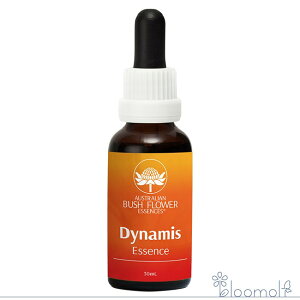 _Ci~X  I[XgAubV Rrl[V t[GbZX