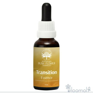 gWV ω̎ I[XgAubV t[GbZX