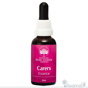 PA[  I[XgAubV Rrl[V t[GbZX