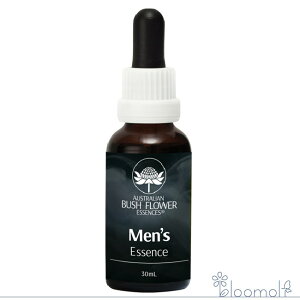 Y j I[XgAubV Rrl[V t[GbZX