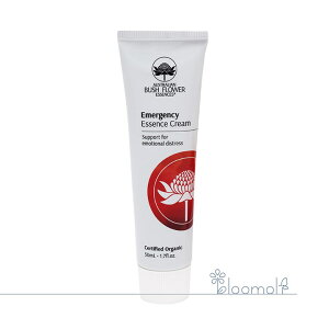 G}[WFV[N[ I[XgAubV I[KjbNN[ t[GbZX