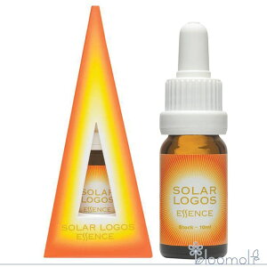 \[[SX I[XgAubV fB@Cv[XGbZX t[GbZX