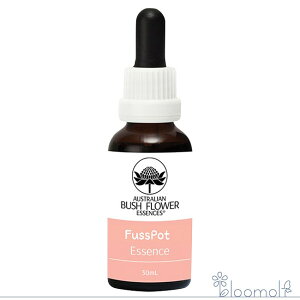 t@X|bg ڂ̎qǂ I[XgAubV@yAeBO`ChPA