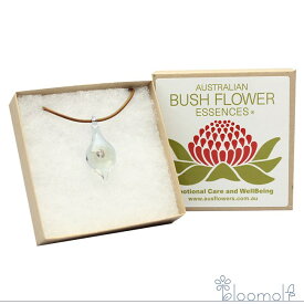 サイキックプロテクションエッセンスペンダント パープル オーストラリアンブッシュ フラワーエッセンス