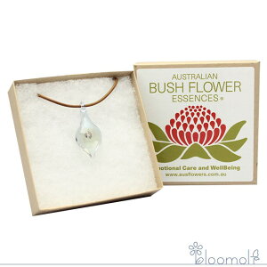 TCLbNveNVGbZXy_g p[v I[XgAubV t[GbZX