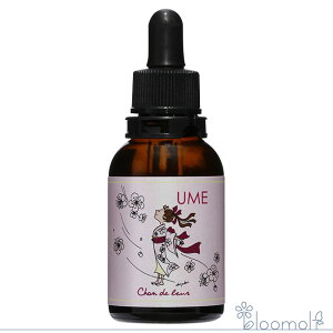 t[GbZX VhD[ ˓̎lG ~