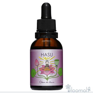 �t�����[�G�b�Z���X �V�����h�D���[�� �o�_�̎l�G ���Ø@ �������͂� Lotus